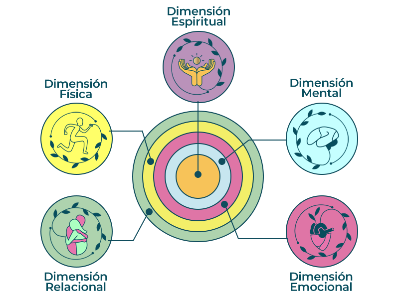 5 dimensiones Novaeva